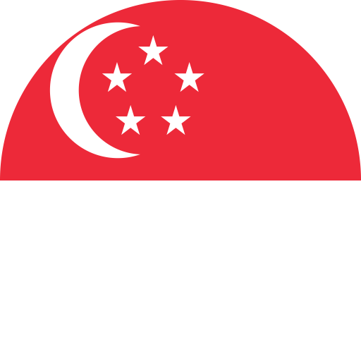 Flag_of_Singapore_Flat_Round-512x512 Xlusive Local SEO - Local SEO AUDIT SERVICES